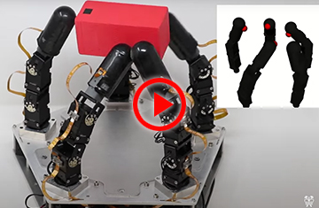 Highly Dextrous Robotic Hand